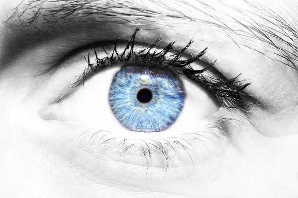 Beautiful insightful look women's blue eye — Stock Photo, Image