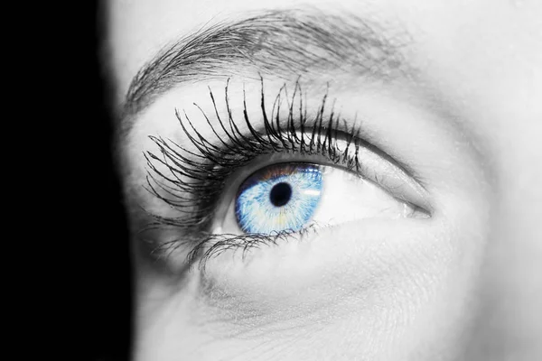 Hermosa mirada perspicaz ojo de mujer azul —  Fotos de Stock