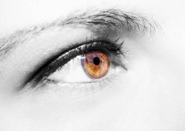 Beautiful insightful look brown woman's eye — Stock Photo, Image