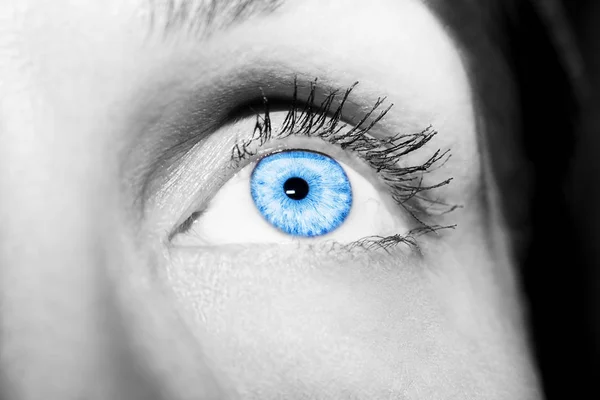 Kobieta piękna wnikliwe spojrzenie niebieski oczy — Zdjęcie stockowe