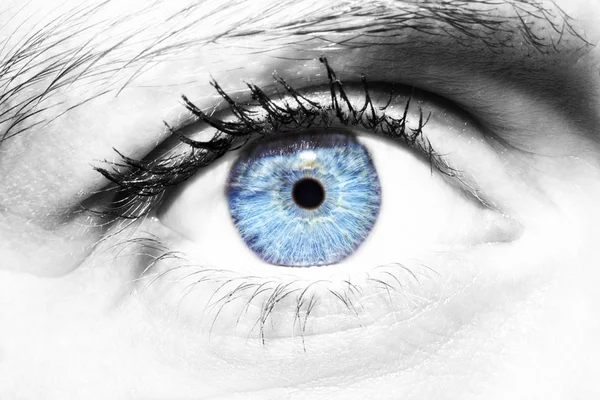 Beautiful insightful look women's blue eye — Stock Photo, Image