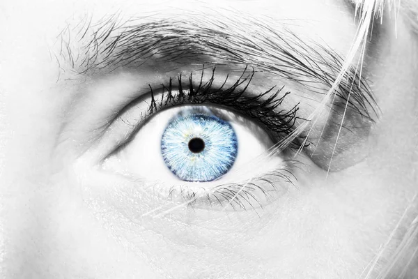 Mooie inzichtelijke look women's blauwe ogen — Stockfoto