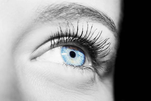 Bella sguardo perspicace occhio di donna blu — Foto Stock