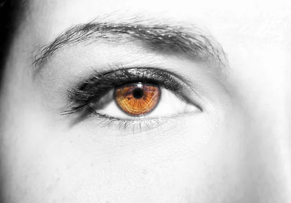 Beautiful insightful look brown woman's eye — Stock Photo, Image