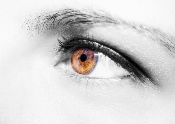 Beautiful insightful look brown woman's eye — Stock Photo, Image