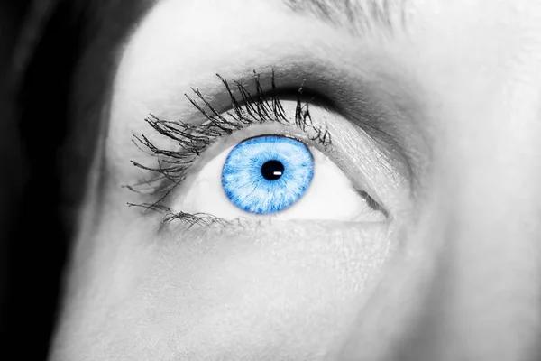 Hermosa mirada perspicaz ojos de mujer azul —  Fotos de Stock