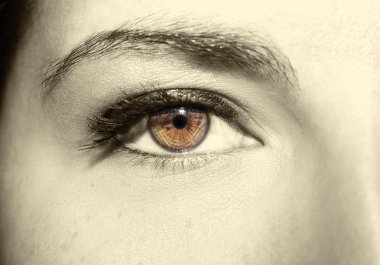 Güzel yorum içeren görünüm kahverengi kadının göz