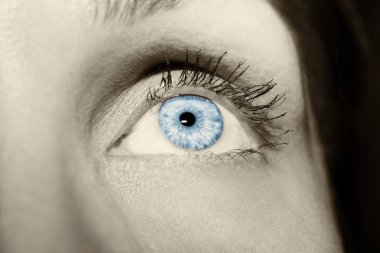 Güzel yorum içeren görünüm mavi kadının gözleri