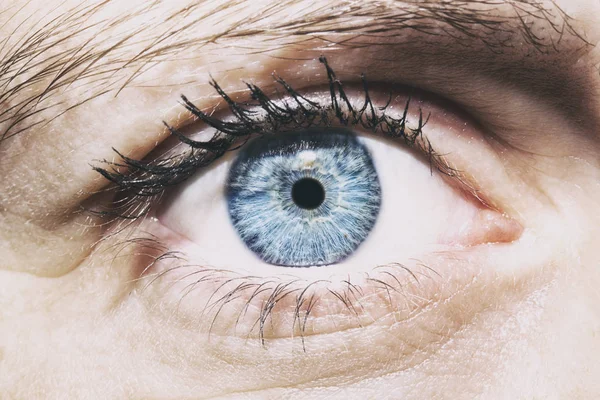 Belo olhar perspicaz olho azul das mulheres — Fotografia de Stock