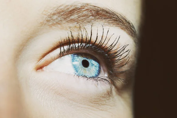 Piękne wnikliwe spojrzenie niebieskie oko kobiety — Zdjęcie stockowe