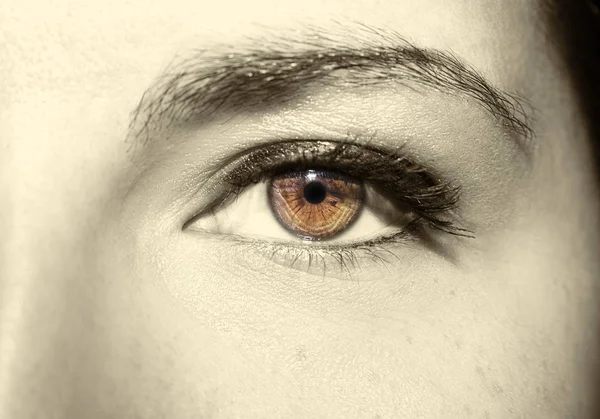 Hermosa mirada perspicaz ojo de mujer marrón —  Fotos de Stock