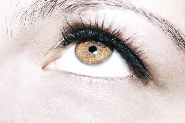 Kobieta piękna wnikliwe spojrzenie brązowe oczy — Zdjęcie stockowe