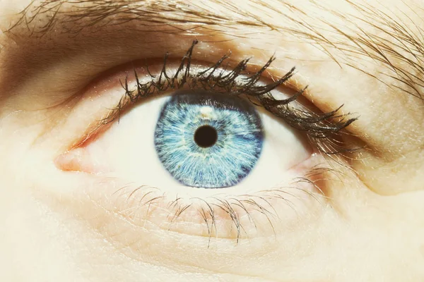 Μπλε μάτι όμορφη διορατική ματιά γυναικών — Φωτογραφία Αρχείου