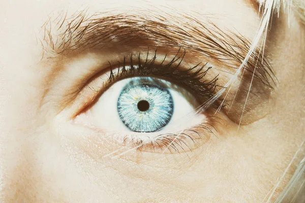 아름 다운 통찰력 모습 여자의 파란 눈 — 스톡 사진