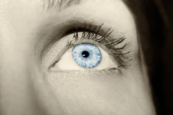 Beau regard perspicace yeux de femme bleue — Photo