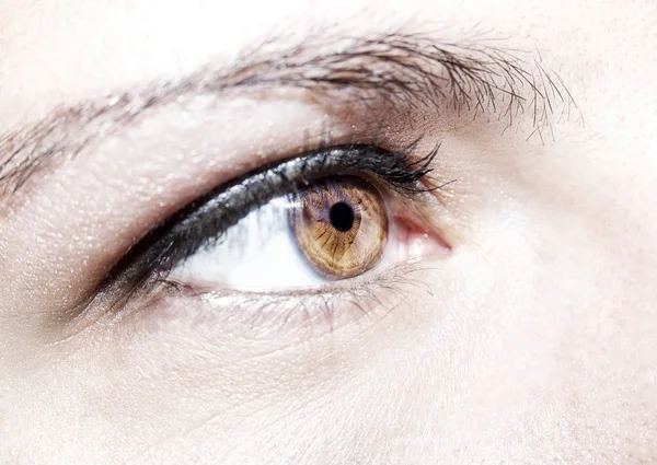 Beautiful insightful look brown woman's eye — Stock Photo, Image