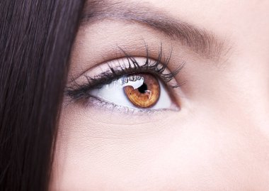 Güzel yorum içeren görünüm kahverengi kadının göz