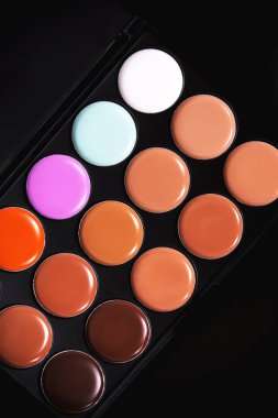 Palet kapatıcı ve düzelticiler. Kalıcı makyaj Bankası. 