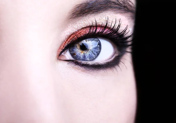 Eye Makeup. Beautiful Eyes Glitter Make-up. Holiday Makeup detail. — Stock Photo, Image