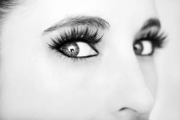 아름 다운 통찰력 있는 여자의 눈을 보세요. 흑백 — 스톡 사진