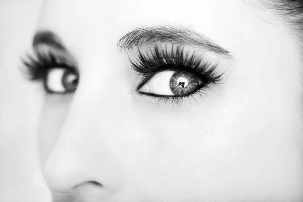 아름 다운 통찰력 있는 여자의 눈을 보세요. 흑백 — 스톡 사진