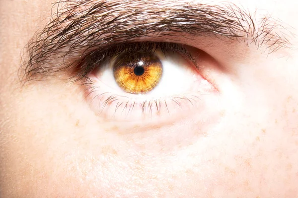 Image of man 's brown eye close up . — стоковое фото