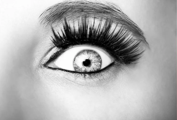 Mooie inzichtelijke look monochroom vrouw oog — Stockfoto