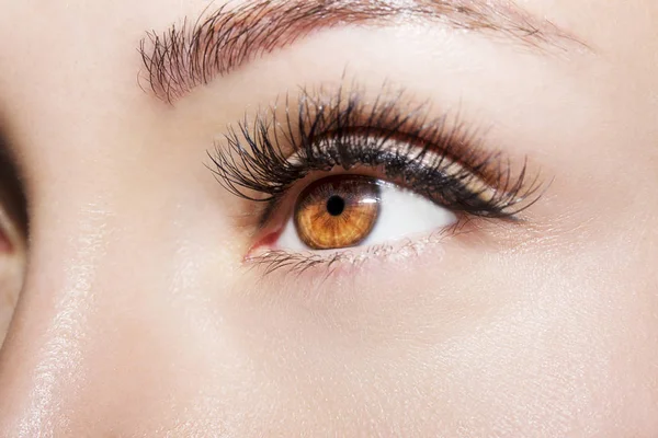 Brown Eye Makeup. Beautiful Eyes Make up detail, perfect beauty eyebrows — Stock Photo, Image