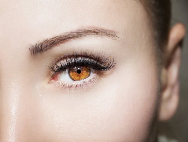 Bruin oog make-up. Mooie ogen make-up detail, perfecte schoonheid wenkbrauwen — Stockfoto