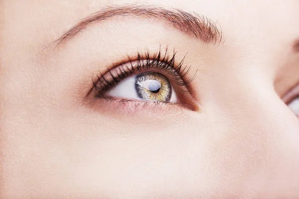 Een mooie inzichtelijke blik bruine vrouw oog — Stockfoto
