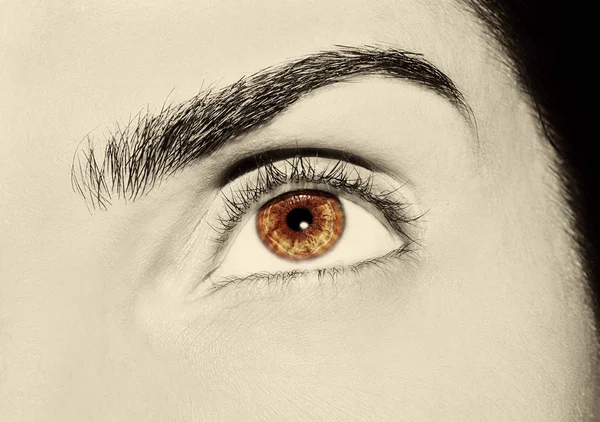 A beautiful insightful look woman's eye. Close up shot — Stock Photo, Image