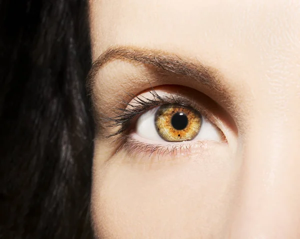 En vacker insiktsfulla look brun kvinnas ögon — Stockfoto