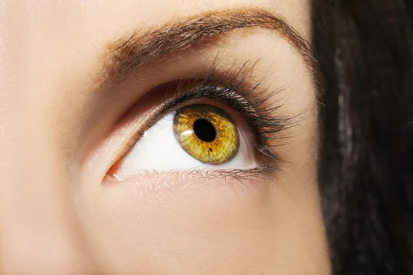 한 여성의 아름다운 통찰력있는 눈입니다. 가까이 촬영 — 스톡 사진
