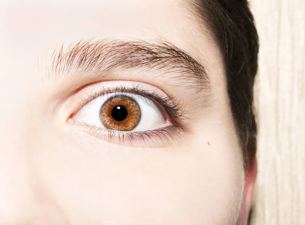 Imagen de un hermoso ojo humano mirada perspicaz — Foto de Stock