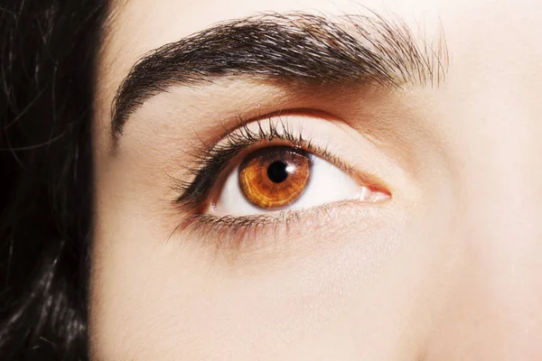 A beautiful insightful look woman's eye. Close up shot — Stock Photo, Image