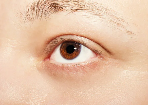 Imagem de um belo olhar perspicaz olho humano — Fotografia de Stock