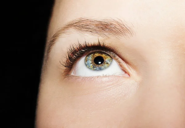 Un bellissimo sguardo perspicace occhio di donna. Colpo da vicino — Foto Stock