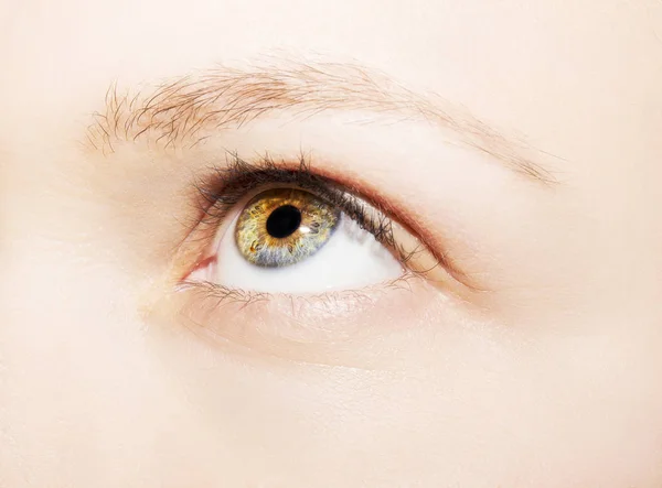 Un bellissimo sguardo perspicace occhio di donna. Colpo da vicino — Foto Stock