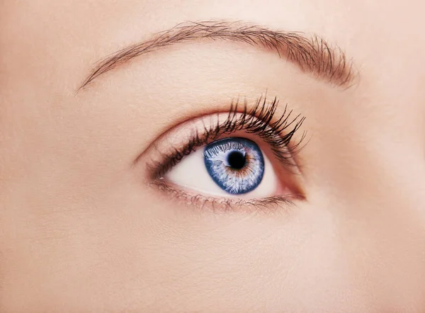Woman Piękny Wnikliwe Spojrzenie Brązowy Oko — Zdjęcie stockowe