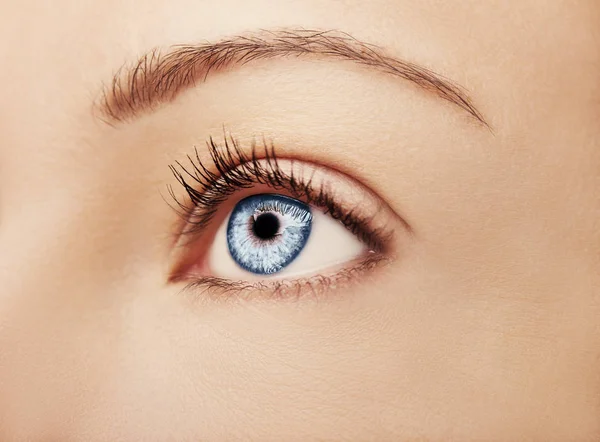 En vacker insiktsfulla look brun kvinnas ögon — Stockfoto