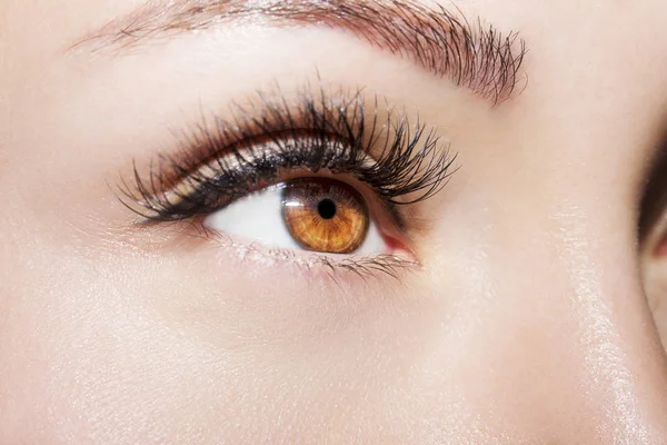 Bruna ögon-Makeup. Vackra ögon Make up detalj, perfekt skönhet — Stockfoto