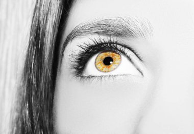 Güzel bir anlayışlı kadın bakışı. Yakın çekim.