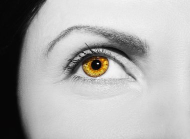 Güzel bir anlayışlı kadın bakışı. Yakın çekim.