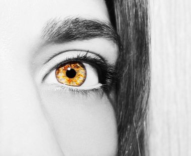 Güzel bir anlayışlı kadın bakışı. Yakın çekim.