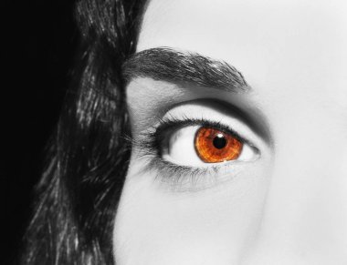 Güzel bir anlayışlı kadın bakışı. Yakın çekim.