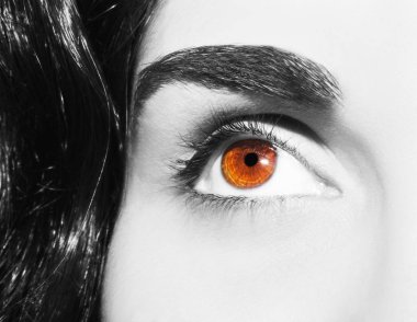 Güzel bir anlayışlı kadın bakışı. Yakın çekim.