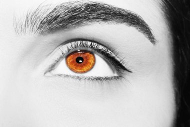 Güzel bir anlayışlı kadın bakışı. Yakın çekim.