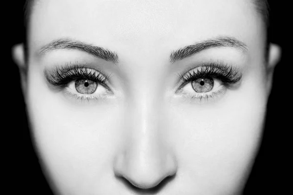 Braunes Augen-Make-up. schöne Augen Make-up Detail, perfekte Schönheit — Stockfoto