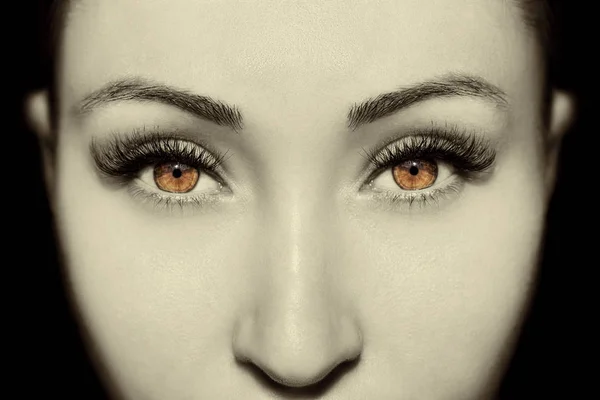 Bruna ögon-Makeup. Vackra ögon Make up detalj — Stockfoto