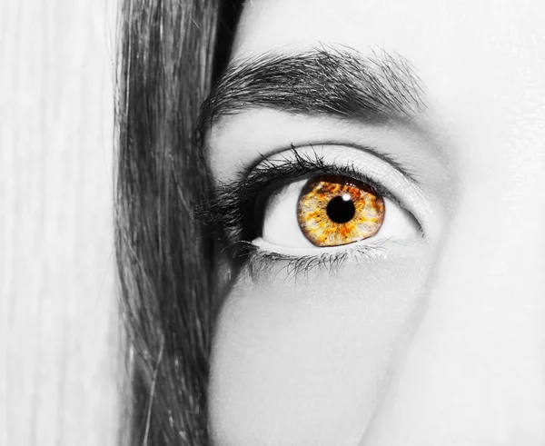 美しい洞察力のある外観の女性の目。撃たれた — ストック写真